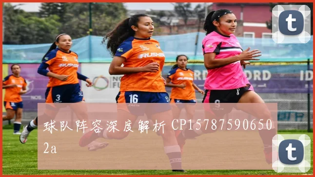 球队阵容深度解析 CP157875906502a